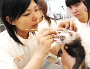 求人ボックス 看護専門学校 講師の仕事 求人 兵庫県 神戸市