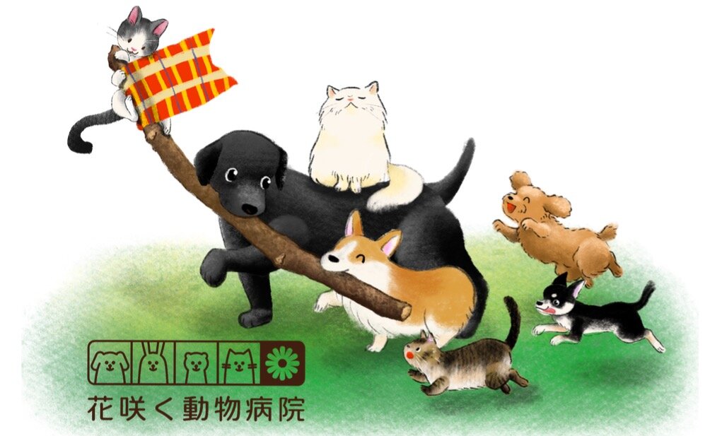 伴侶動物のための救急医療 犬・猫からエキゾチックアニマルまで 伴侶動物のための救急医療 犬.猫からエキゾチックアニマルまで 本