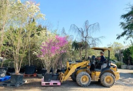 求人ボックス 植物園の仕事 求人 大阪府 求人ボックス 植物園の仕事 求人 大阪府