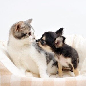 T2if2jei0svm9m T2if2jei0svm9m