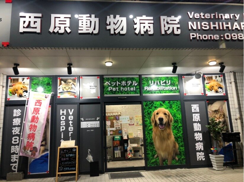 求人ボックス 看護師の仕事 求人 沖縄県 中頭郡 求人ボックス 看護師の仕事 求人 沖縄県 中頭郡