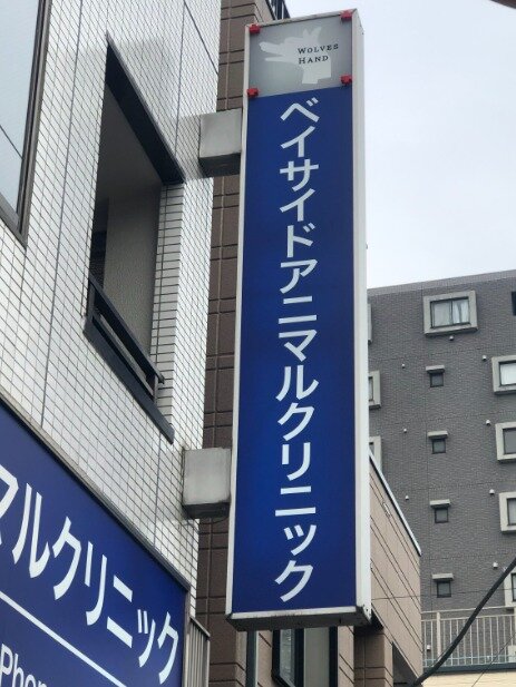 求人ボックス 株式会社wolves Hand 動物看護師さん大募集 ベイサイドアニマルクリニック の求人詳細情報 神奈川駅 徒歩6分