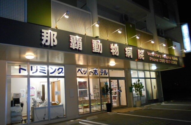 求人ボックス 看護師 パートの求人情報 沖縄県 那覇市 求人ボックス 看護師 パートの求人情報 沖縄県 那覇市