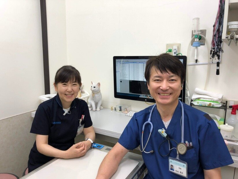 求人ボックス ラーク動物病院 動物看護師 看護助手 正社員 資格問いません やりがいとプライベートを両立 の求人詳細情報 香里園駅 徒歩10分