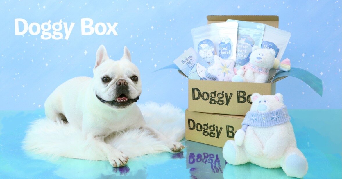 株式会社Doggy Box ワンちゃん向けサブスク事務スタッフ/用賀