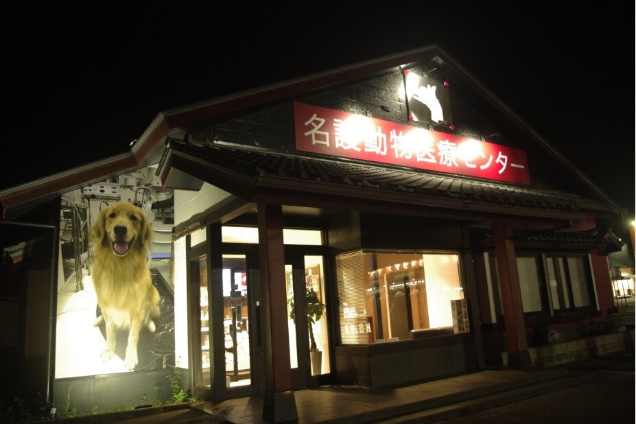 求人ボックス 看護師 パートの求人情報 沖縄県 名護市 求人ボックス 看護師 パートの求人情報 沖縄県 名護市