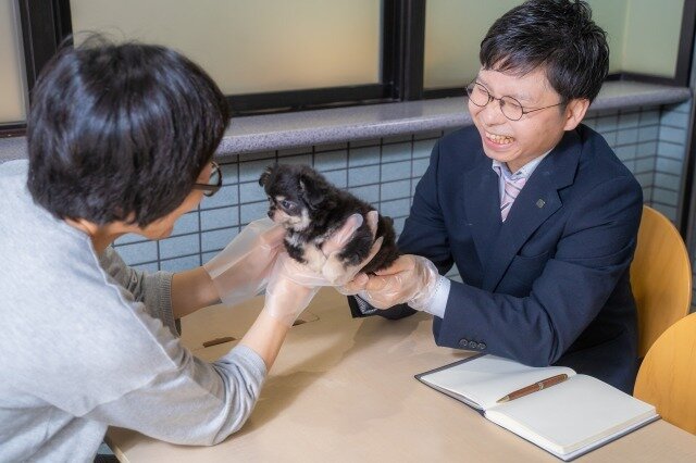 求人ボックス 犬の仕事 求人 福岡県