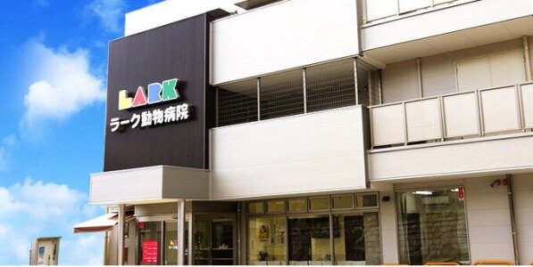 ひまわり 動物 病院 寝屋川 動物 寝屋川 ひまわり 病院