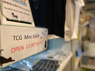 求人ボックス 猫カフェの仕事 求人 東京都 求人ボックス 猫カフェの仕事 求人 東京都